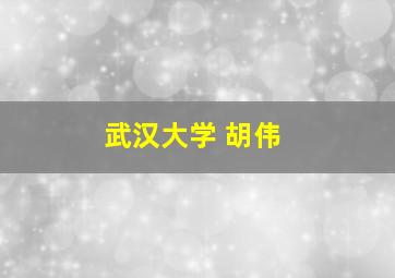 武汉大学 胡伟